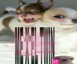 AmyBeLike