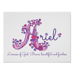 Arielspinkgroup