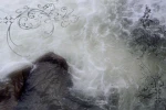 RοbƖox ゚ Group Thumbnail