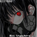 Boo Snatcherz