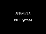 anim na pu’t siyam