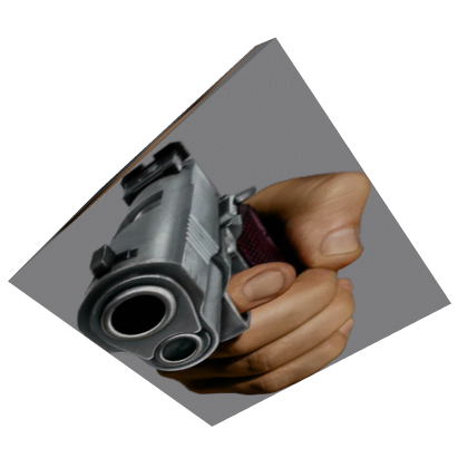 gun