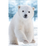 Polar bear fanclub