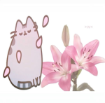 miumiuss:3