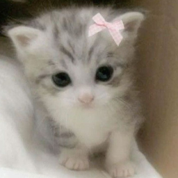 ୨ৎ