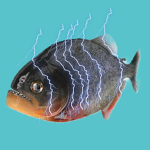 Lightning Piranhas Official
