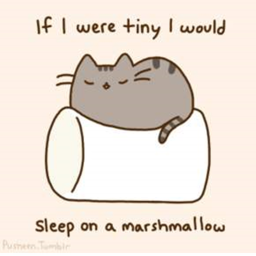 pusheen con