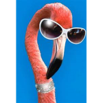 critter zquad