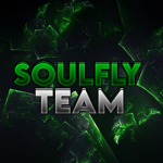 S-o-u-l-f-l-y Team