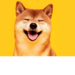 Shiba inu Team/love doge