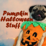Pumpkin Halloween Stuff