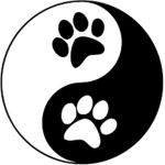 -Random Dog Group-