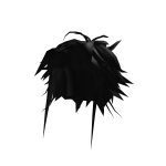Black Blocky Hair