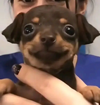 Vrbddvvdvdvd