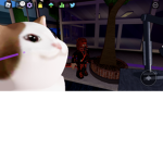 Epic Cat Hangout