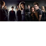 H@rry Potter And Twilight Fan Group