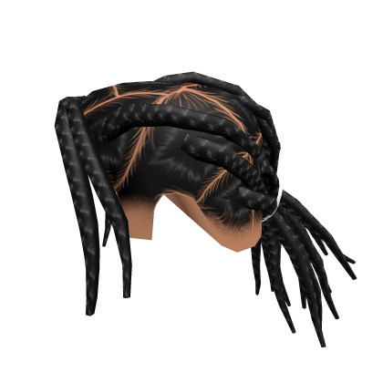 Rocky Braids  Roblox item