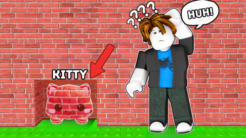 [53] Find The Kitty! 🐱