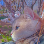 Hidarime♡