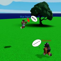 Capture the flag [BETA]