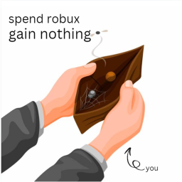 spend robux and gain nothing