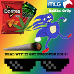xxTotallyMLGxx