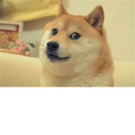 Chry_rex Community