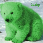 Extra Luck
