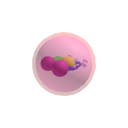animal cell