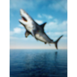 SHARKY GANG.