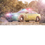 Liberty County Sheriff's Office RP
