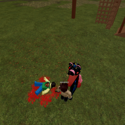 Aiden the pig