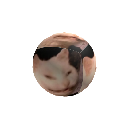 Cat ball