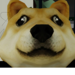 Dogeepic_11!!!1!1!1!1!1!!
