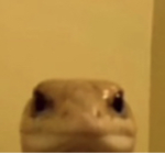 Dinos will rule forever