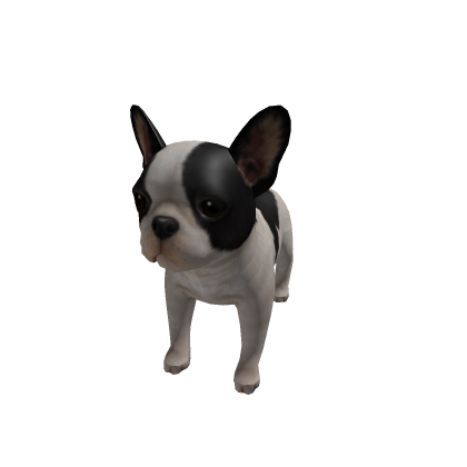 Digitals Dog