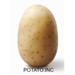 Potato.INC