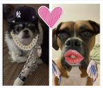 swaggysnoopy