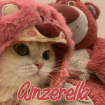 Ainzerella