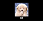 하얀모자