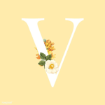 Sunflower V