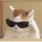 buying pets for robux adopt me