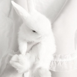 ⋆˚✿˖° 𐙚 ⊹♡