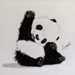 🐼Pwanda Fan Group🐼