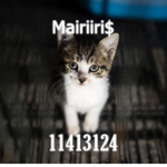 Mairiiri$