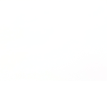The white screen group