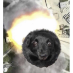 skùll