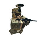 U.S Offical Rangers