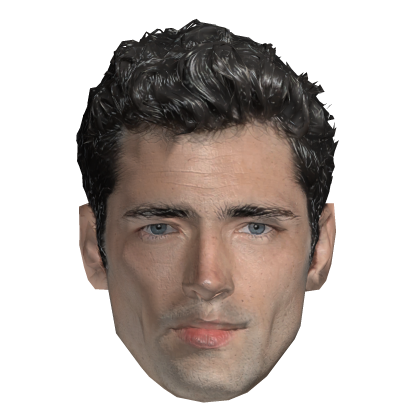 Sean Opry Meme Head Roblox item