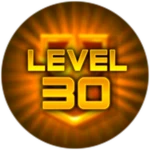 Level 30